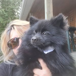 Meet your Posher, Linda